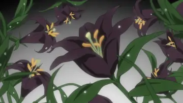 Backdrop for the TV series "Yurikuma Arashi" #1744294