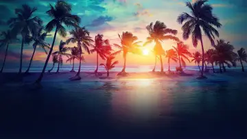 Backdrop for the TV series "Les Anges" #1338780