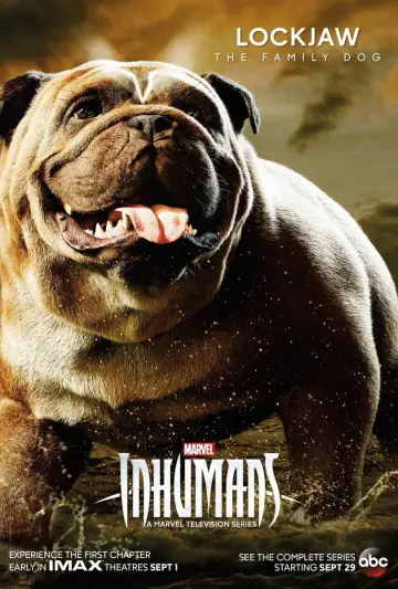 Poster for the TV series "Marvel