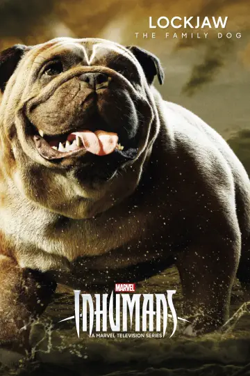 Poster for the TV series "Marvel