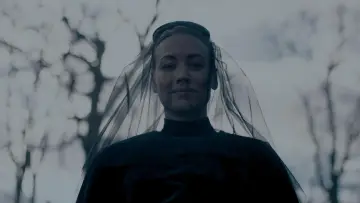 Backdrop к сериалу "The Handmaid