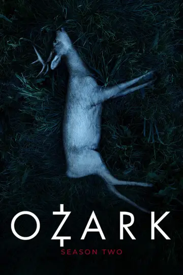 Poster for the TV series "Ozark" #1679342