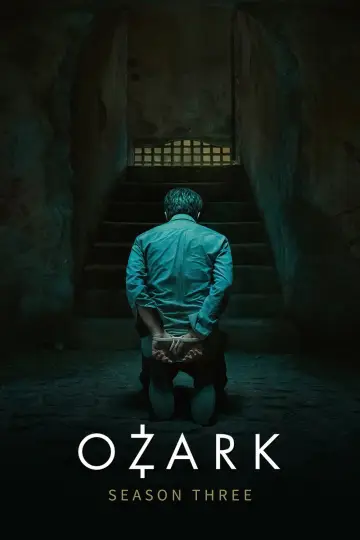 Poster for the TV series "Ozark" #1679355