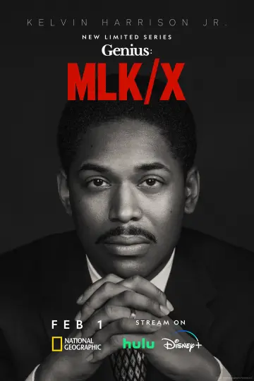 Poster for the TV series "Genius" #1700348