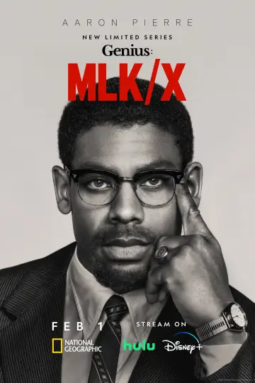 Poster for the TV series "Genius" #1700349
