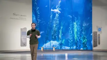 Backdrop к сериалу "Atypical" #1415523
