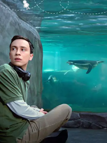Poster к сериалу "Atypical" #1415540