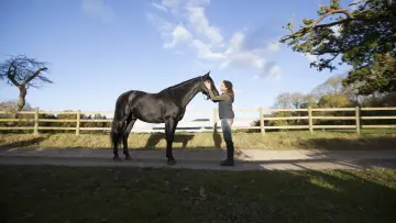Backdrop к сериалу "Free Rein" #1458930