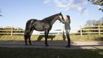 Backdrop к сериалу "Free Rein" #1458932