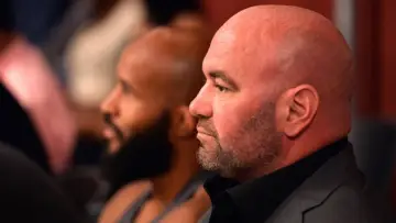 Backdrop for the TV series "Dana White