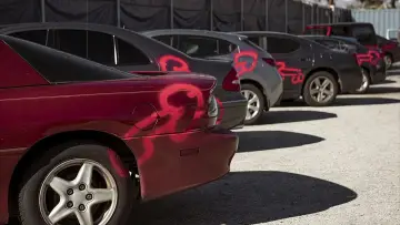 Backdrop for the TV series "American Vandal" #1447781