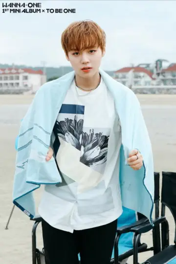 Poster for the TV series "Wanna One Go" #1804030