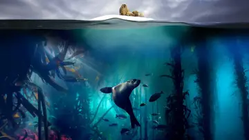 Backdrop к сериалу "Blue Planet II" #1454190