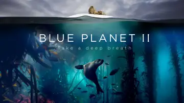 Backdrop к сериалу "Blue Planet II" #1454199