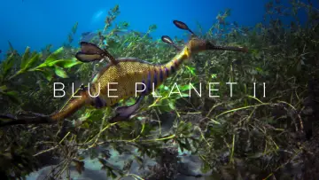 Backdrop к сериалу "Blue Planet II" #1454202