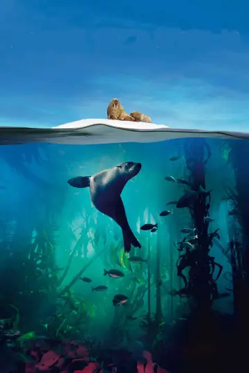 Poster к сериалу "Blue Planet II" #1454228