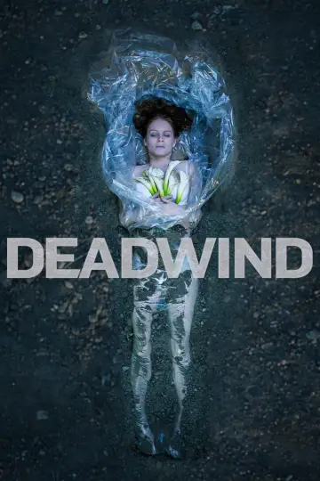 Poster for the TV series "Deadwind" #1784996