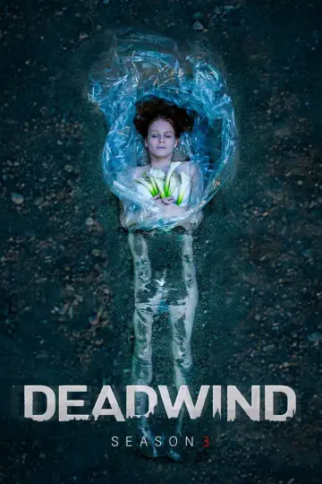 Poster for the TV series "Deadwind" #1785612