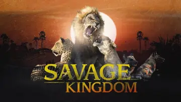 Backdrop for the TV series "Savage Kingdom" #1822556