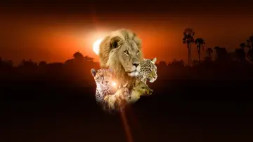 Backdrop for the TV series "Savage Kingdom" #1822558