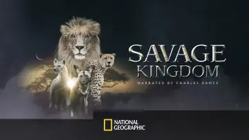 Backdrop for the TV series "Savage Kingdom" #1822561