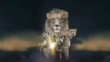 Backdrop for the TV series "Savage Kingdom" #1822562