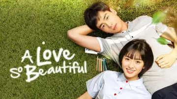 Backdrop for the TV series "A Love So Beautiful" #1454022