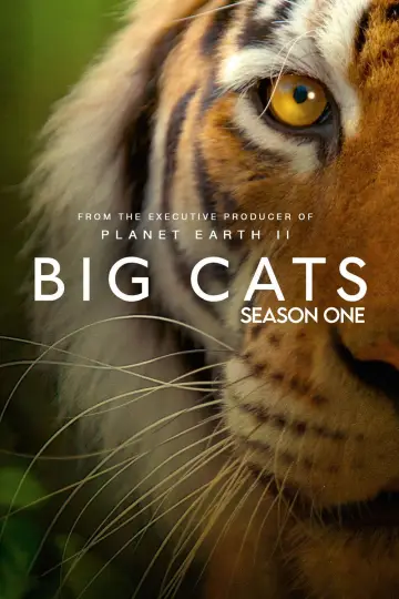 Poster for the TV series "Big Cats" #1771866