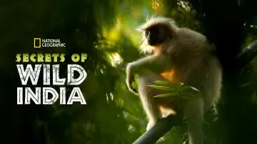 Backdrop for the TV series "Secrets of Wild India" #1834718