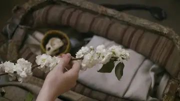Backdrop к сериалу "Anne with an E" #1327453
