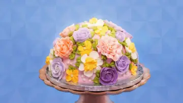 Backdrop for the TV series "Spring Baking Championship" #1549686