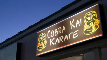 Backdrop к сериалу "Cobra Kai" #1292457