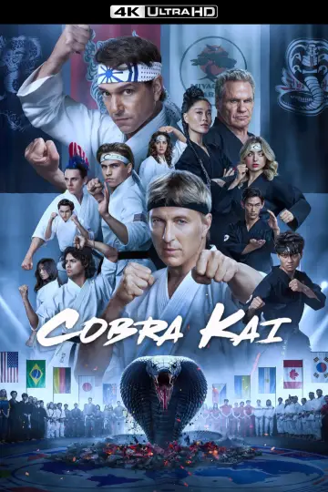 Poster к сериалу "Cobra Kai" #1292521