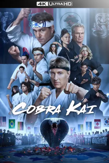 Poster к сериалу "Cobra Kai" #1292545