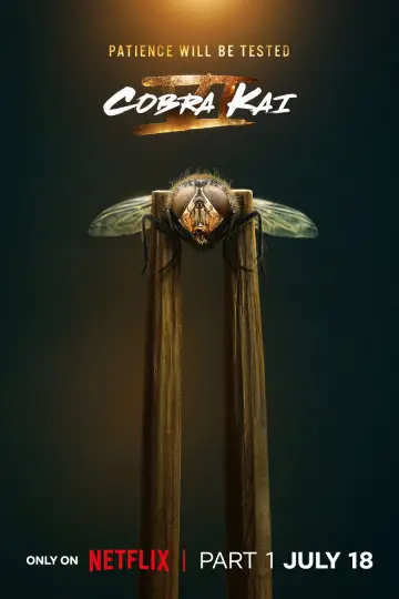 Poster for the TV series "Cobra Kai" #1614636