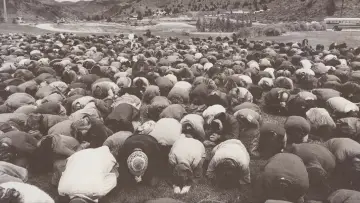 Backdrop к сериалу "Wild Wild Country" #1461033