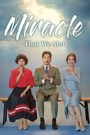 Poster for the TV series "The Miracle We Met" #1871825