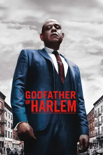 Poster for the TV series "Godfather of Harlem" #1333820