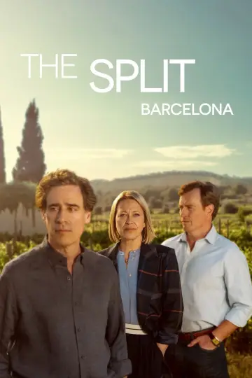 Poster for the TV series "The Split" #1598614