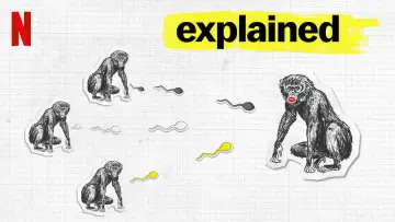 Backdrop к сериалу "Explained" #1413923