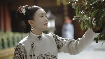 Backdrop for the TV series "Story of Yanxi Palace" #1413298