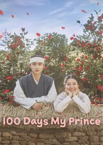 Poster for the TV series "100 Days My Prince" #1560121