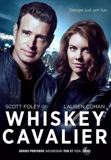 Poster for the TV series "Whiskey Cavalier" #1401595