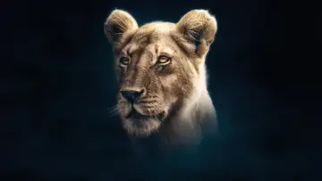 Backdrop к сериалу "Dynasties" #1490106