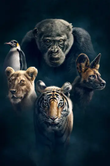 Poster к сериалу "Dynasties" #1490129