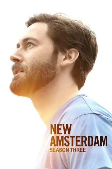 Poster for the TV series "New Amsterdam" #1679055