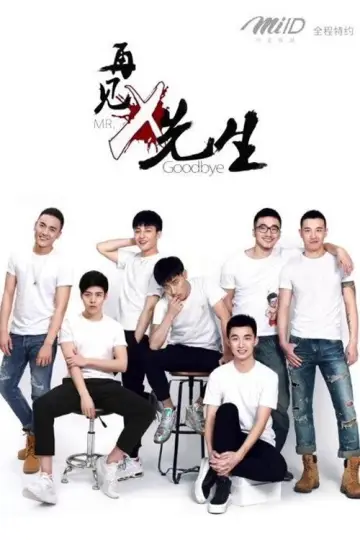 Poster for the TV series "Mr. X and I" #1402257
