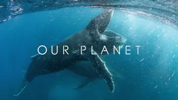 Backdrop к сериалу "Our Planet" #1454612