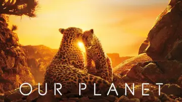 Backdrop к сериалу "Our Planet" #1454613