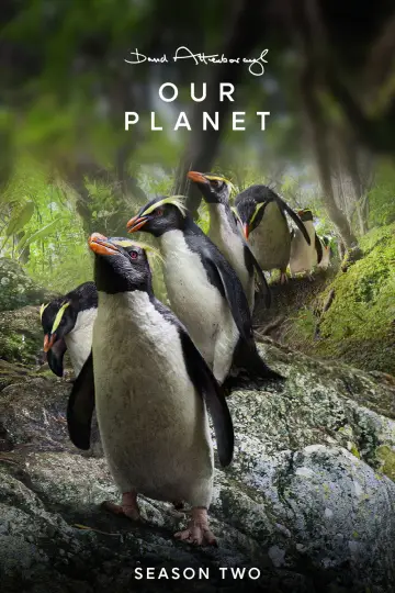 Our Planet II